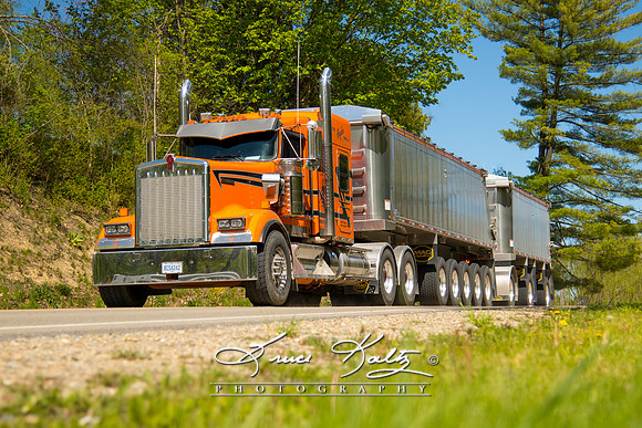 TANGERINE TORQUE
