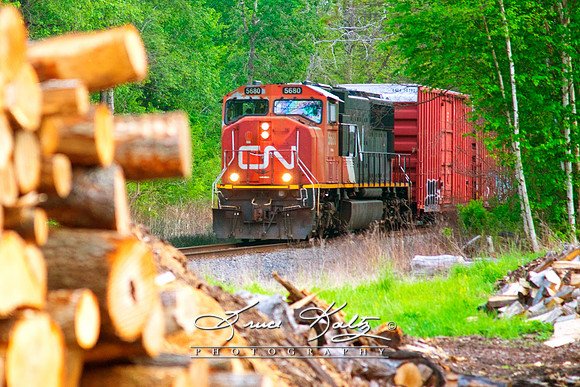 21-D 850_0859 HOMEWARD BOUND
