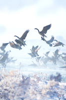 TAKE OFF