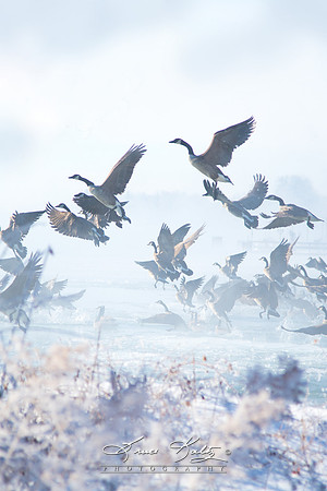 TAKE OFF