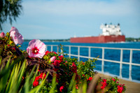 SUMMER VOYAGE