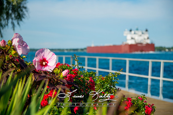 SUMMER VOYAGE