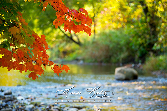 AUTUMN CREEK