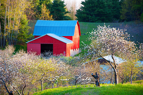 BLOSSOM VALLEY