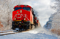 COLD RUSH