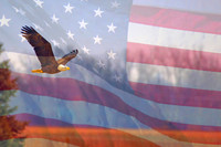 AMERICAN PRIDE