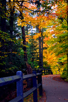 PEACE IS THE PATH