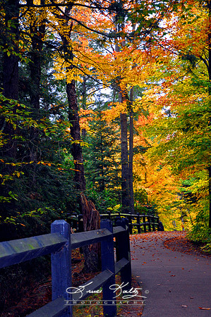 PEACE IS THE PATH