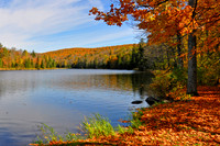 AUTUM DELIGHT