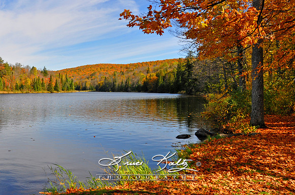 AUTUM DELIGHT