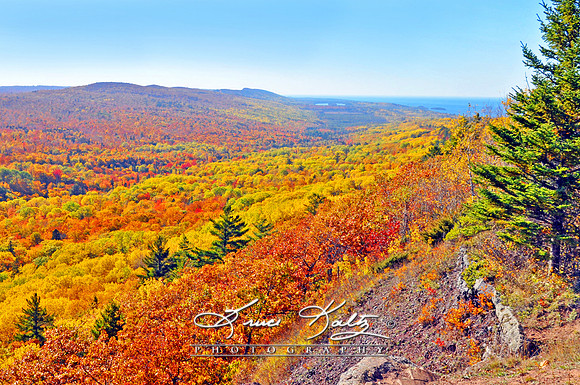 MOTHER NATURES PALETTE