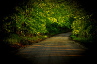 TAKE ME HOME