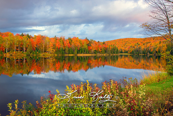 A SEASONS REFLECTION