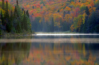 WILDERNESS MIST