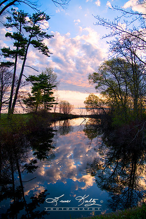 REFLECTION CREEK