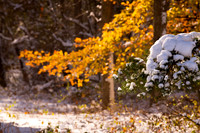 SEASONS CHANGE