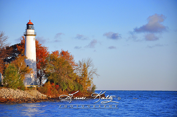 AUTUM LIGHT