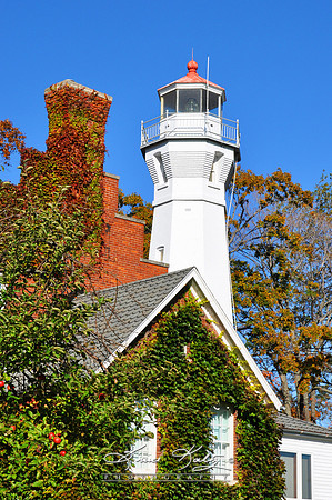 IVY TOWER
