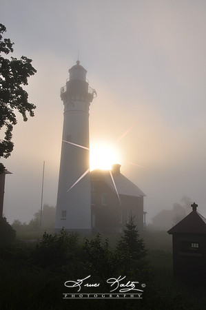 SUPERIOR FOG