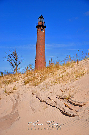 SANDSCAPED