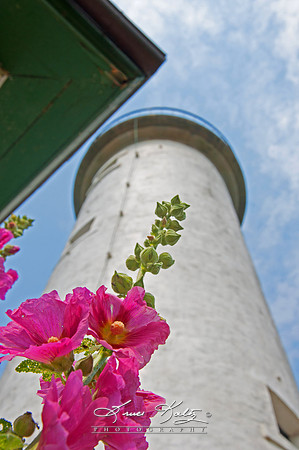 REACHING FOR THE SKY