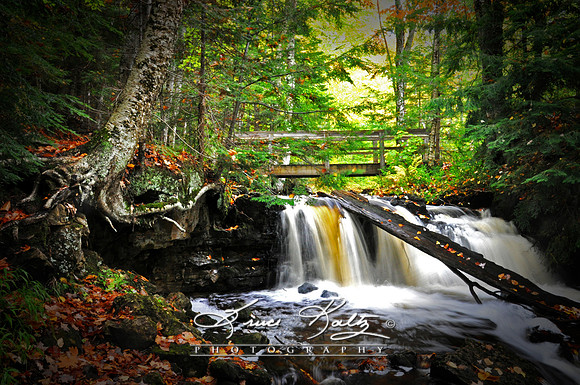 BRIDGE OF TRANQUILITY