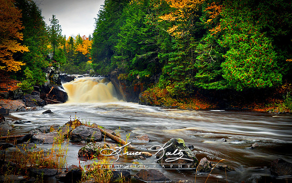 CUTTING THE GORGE