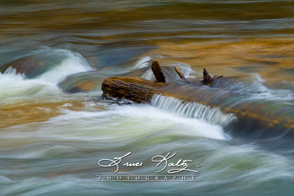 RIVER MOVES