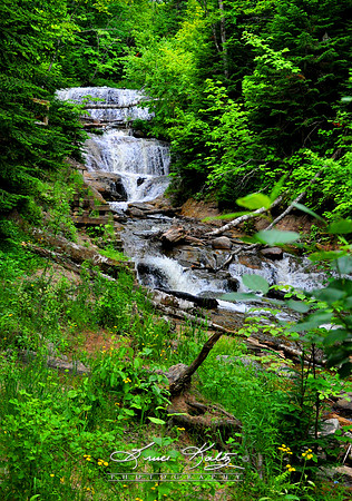 SABLE FALLS