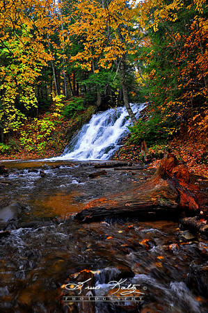 AUTUMN RUSH