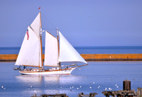 Boats