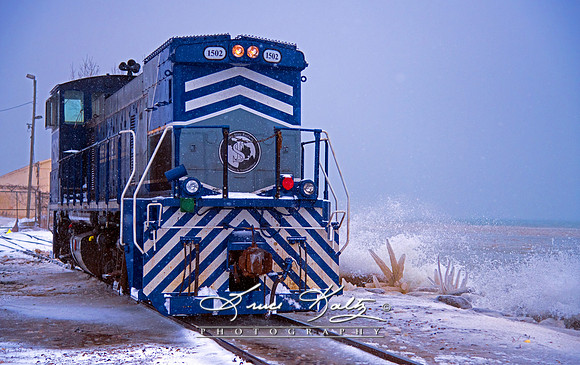 FROZEN TRACKS