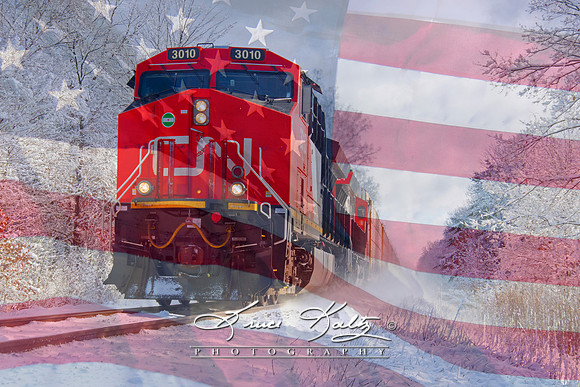 AMERICAN RAIL