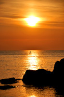 PADDLE BOARD PARADISE