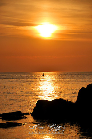 PADDLE BOARD PARADISE