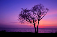 NEW BEGINNING