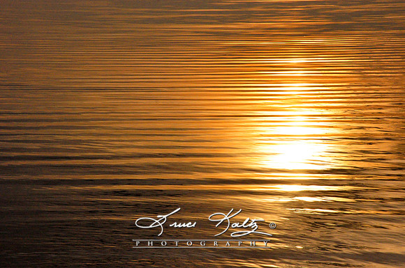 SUNRISE RIPPLE