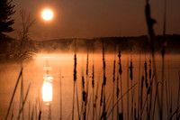 MORNING STEAM