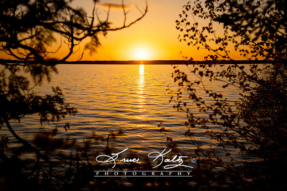 PROMISE OF A NEW DAWN