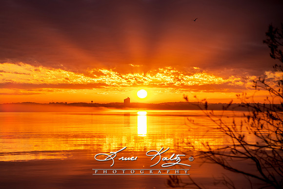SUNBURST AT THE BEAR