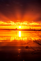 MORNING BURST