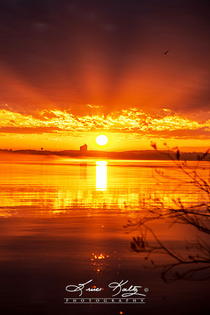 MORNING BURST