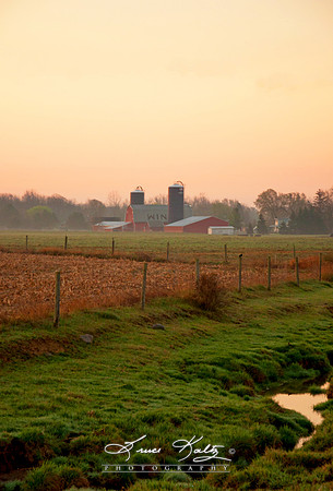 MORNING MIST