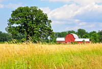 COUNTRY SIDE