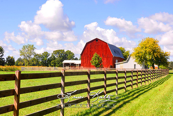 SUMMER SPLENDOR