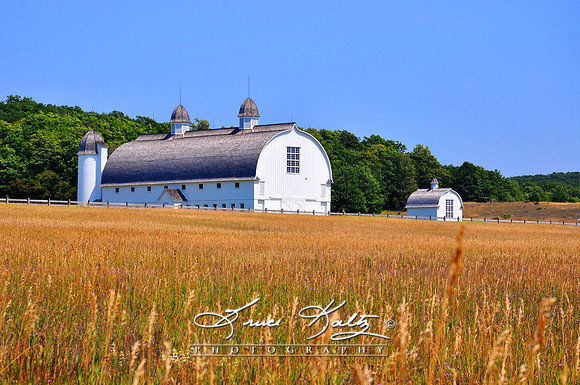 D H DAY FARM SLEEPING BEAR DUNES