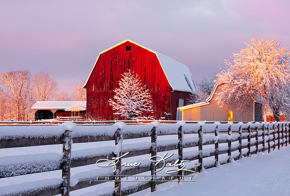 CHILLY DAYBREAK