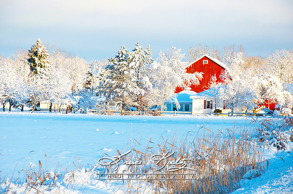 WINTER WONDERLAND