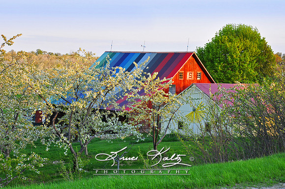 AGELESS COLOR