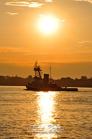 AVENGER IV MORNING TOW
